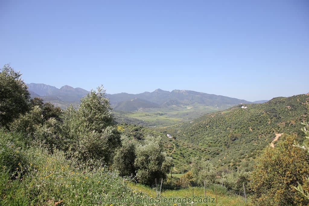 3 soveværelse Finca/Landehus til salg i Algodonales - € 285.000 (Ref: 8233996)