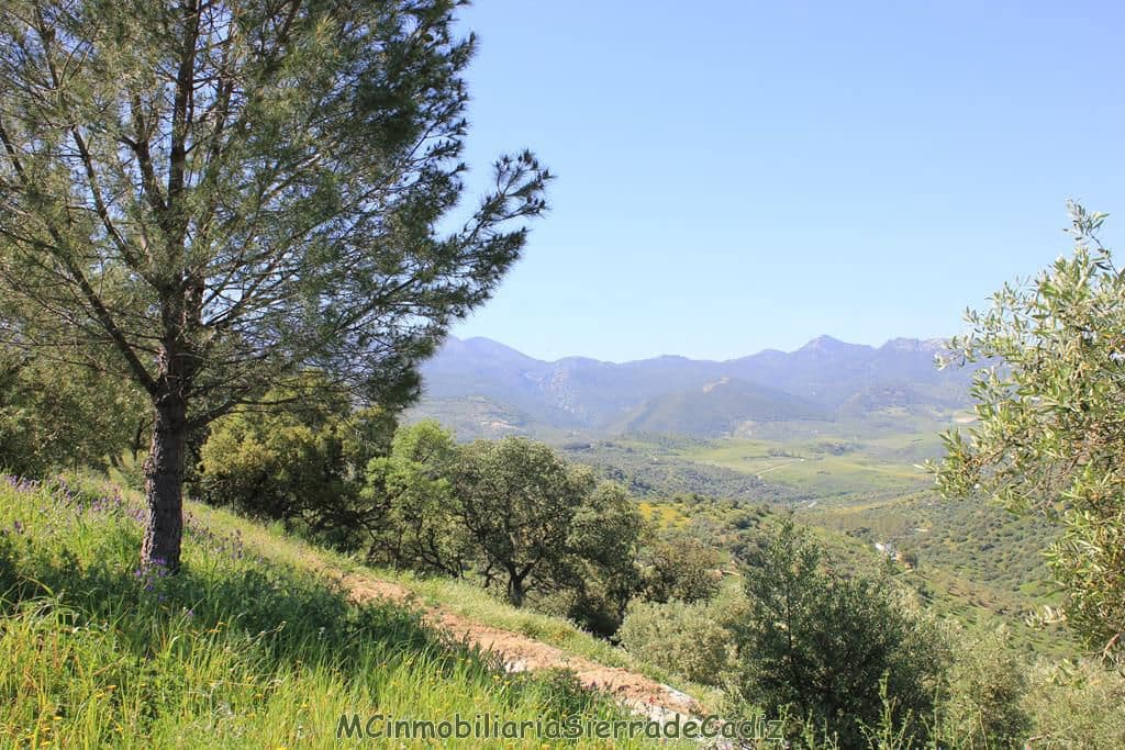 3 soveværelse Finca/Landehus til salg i Algodonales - € 285.000 (Ref: 8233996)