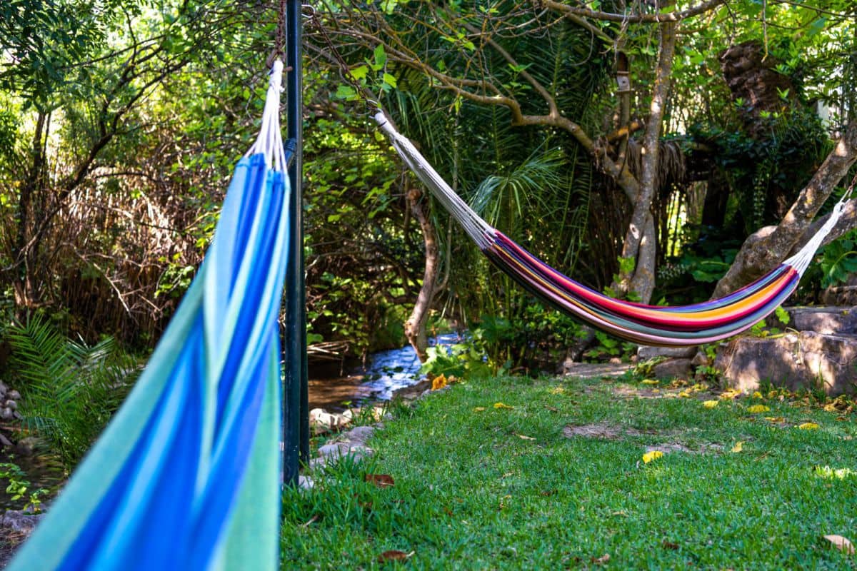 5 chambre Finca/Maison de Campagne à vendre à Zahara de la Sierra - 615 000 € (Ref: 8268744)