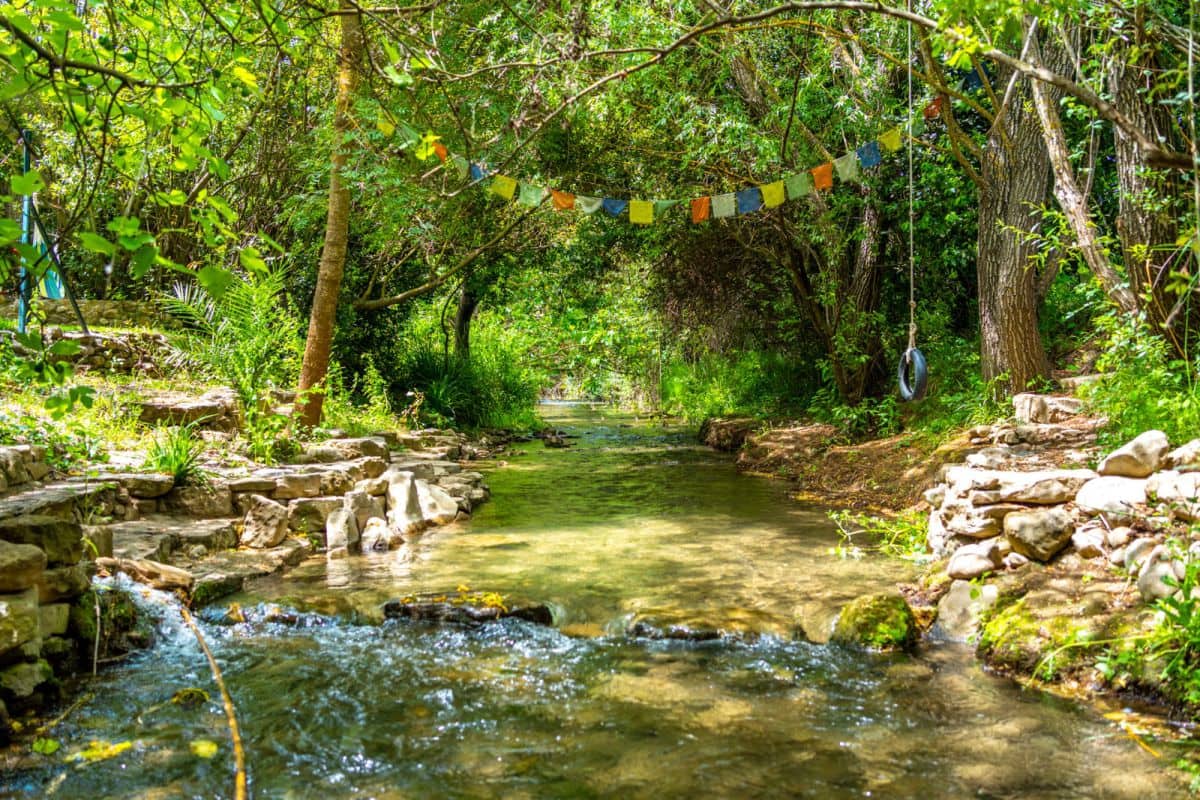 5 chambre Finca/Maison de Campagne à vendre à Zahara de la Sierra - 615 000 € (Ref: 8268744)