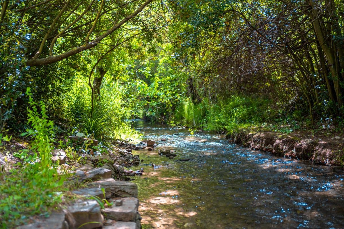 5 chambre Finca/Maison de Campagne à vendre à Zahara de la Sierra - 615 000 € (Ref: 8268744)