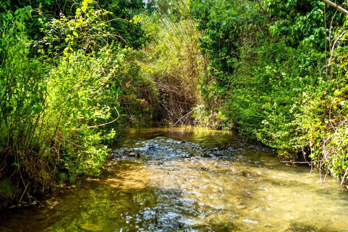 5 chambre Finca/Maison de Campagne à vendre à Zahara de la Sierra - 615 000 € (Ref: 8268744)