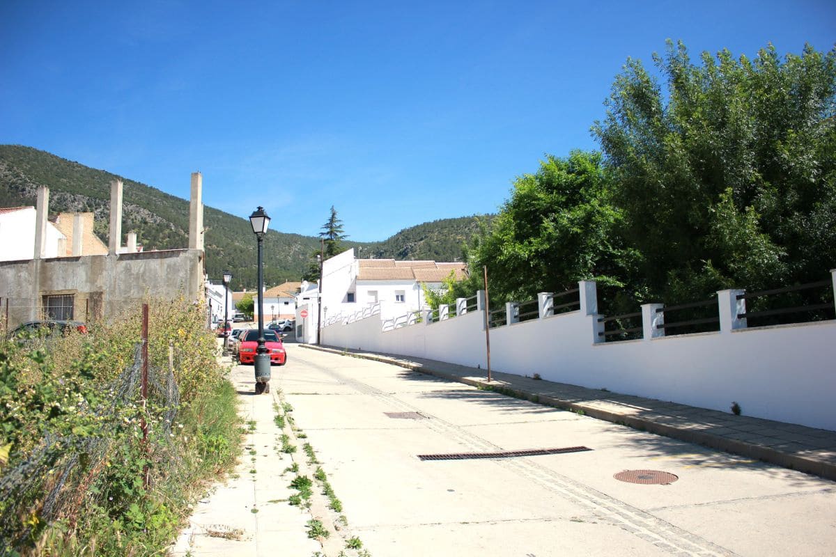 Undeveloped Land for sale in Algodonales - € 82,000 (Ref: 8313649)