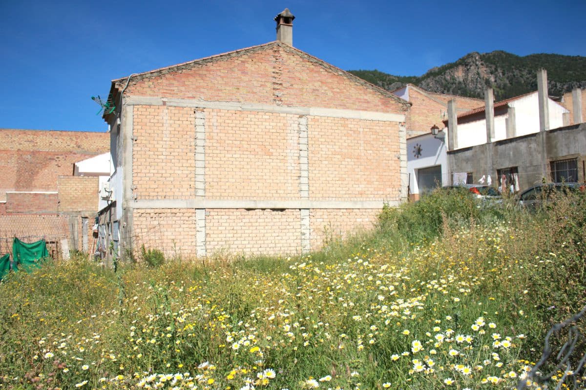 Undeveloped Land for sale in Algodonales - € 82,000 (Ref: 8313649)