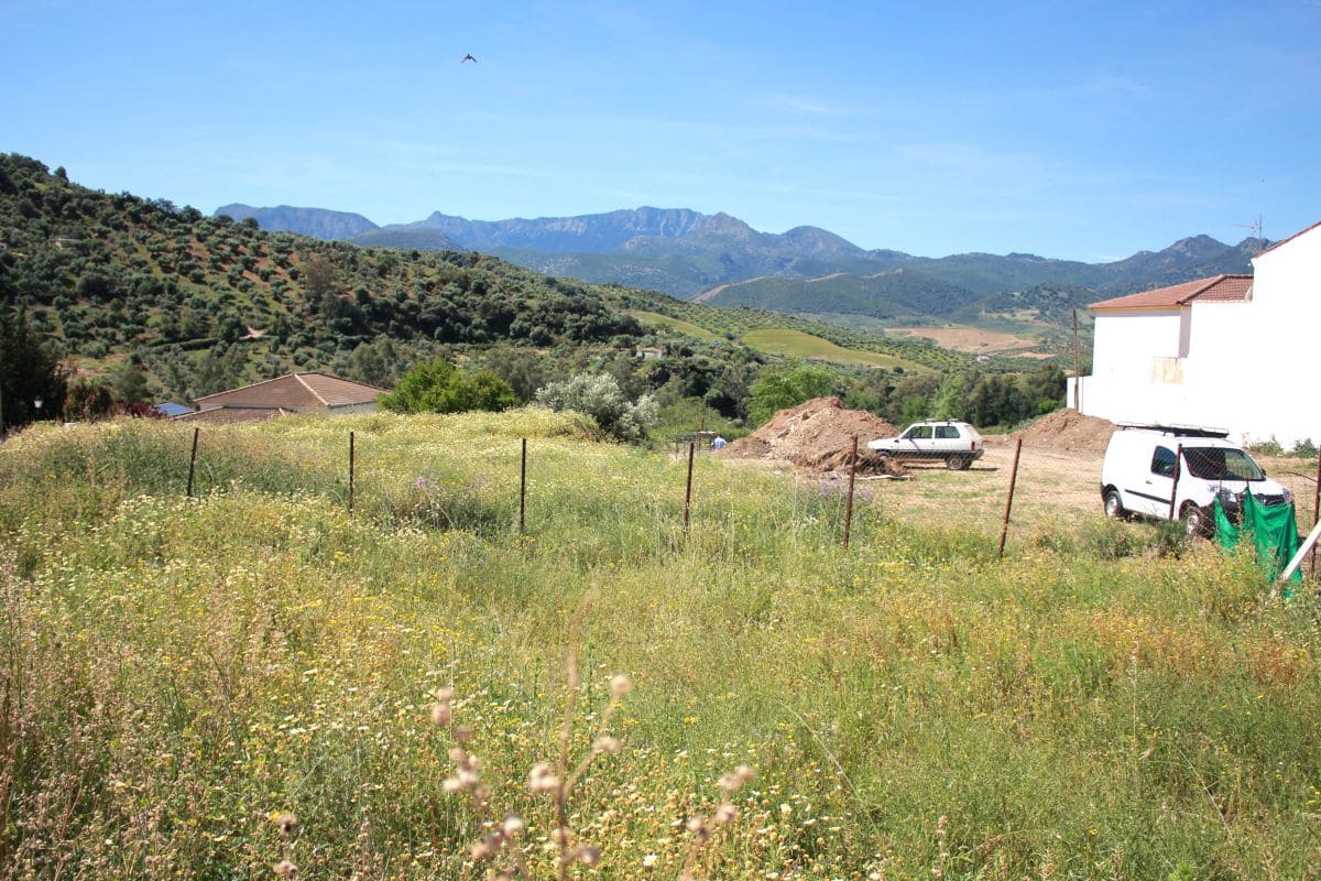Undeveloped Land for sale in Algodonales - € 82,000 (Ref: 8313649)