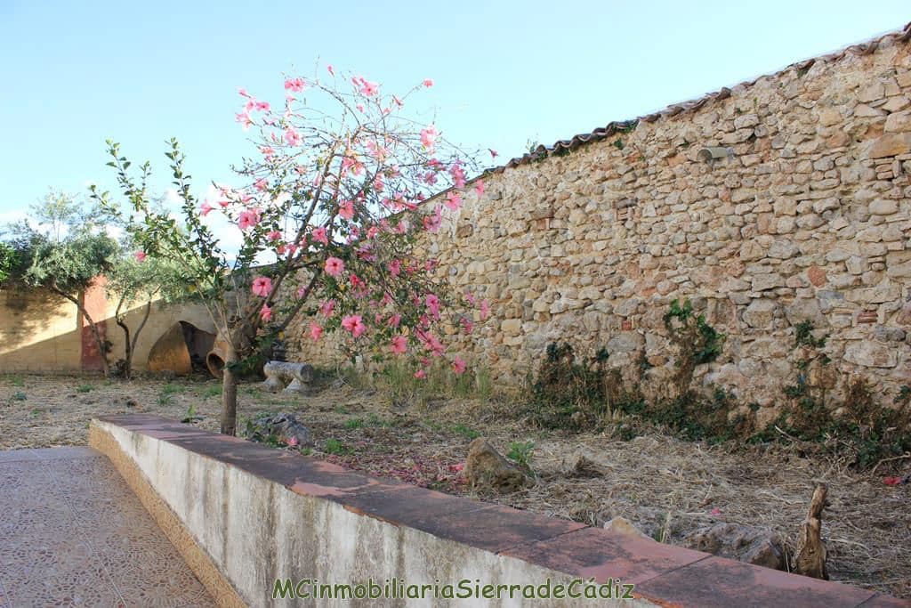 Maison de Ville à vendre à Algodonales - 295 000 € (Ref: 8349401)