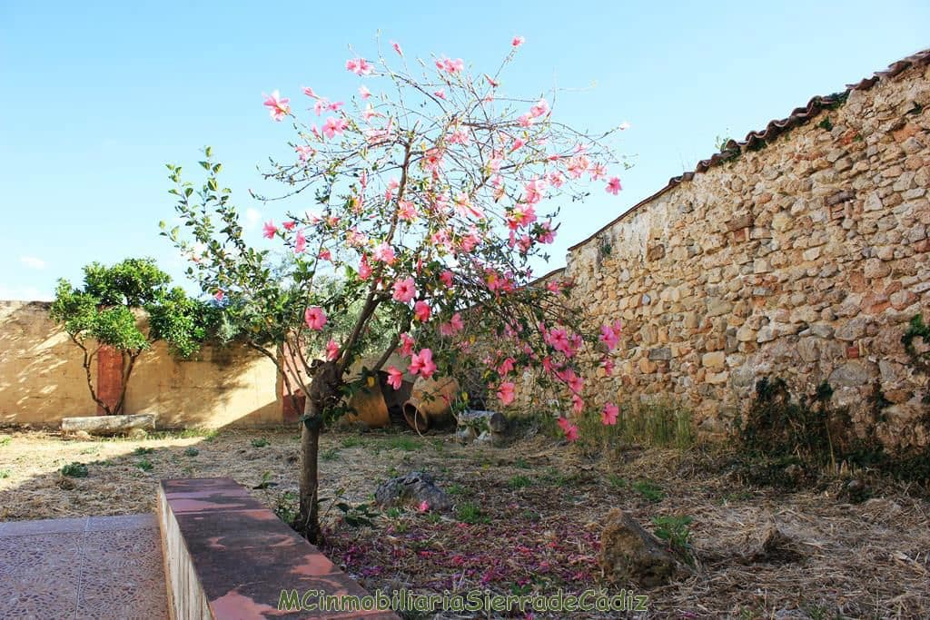 Maison de Ville à vendre à Algodonales - 295 000 € (Ref: 8349401)