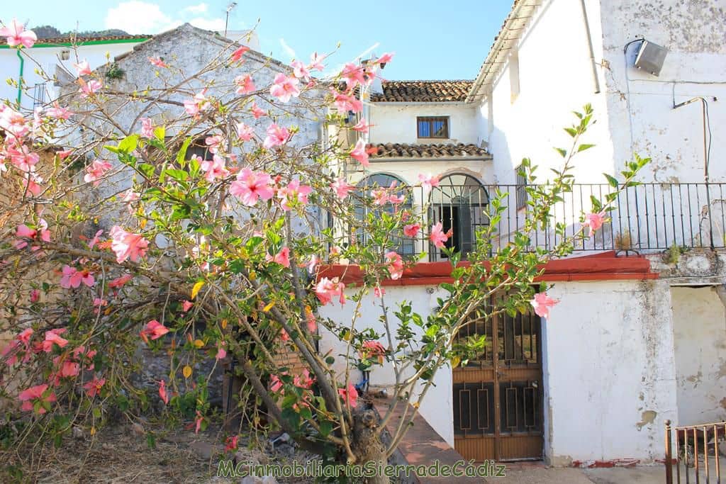 Maison de Ville à vendre à Algodonales - 295 000 € (Ref: 8349401)