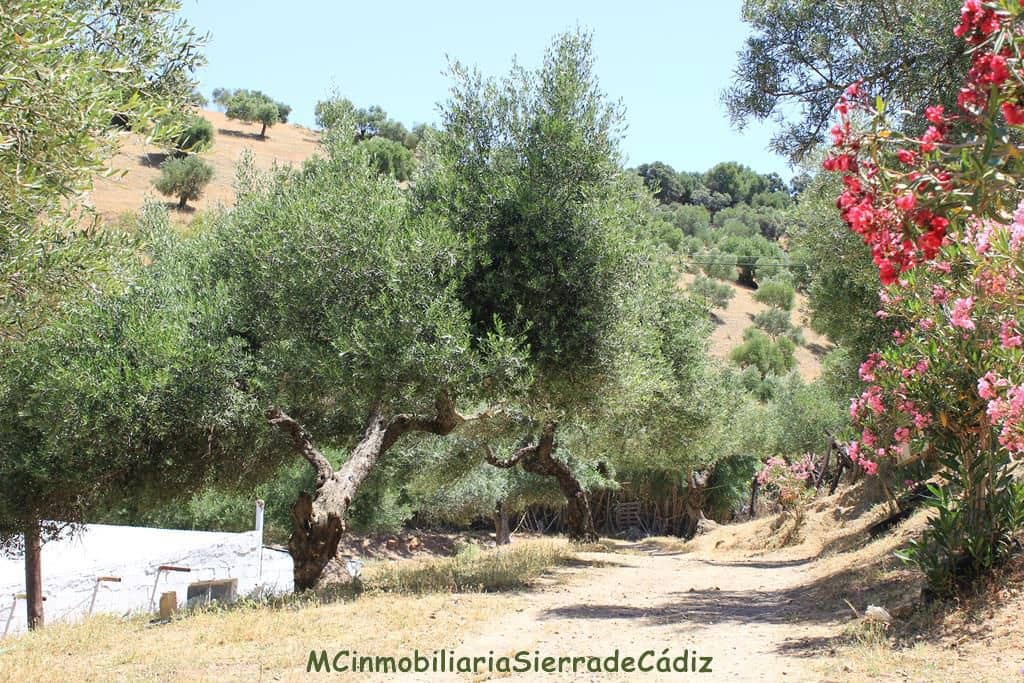 4 bedroom Finca/Country House for sale in El Gastor with garage - € 229,000 (Ref: 8387101)