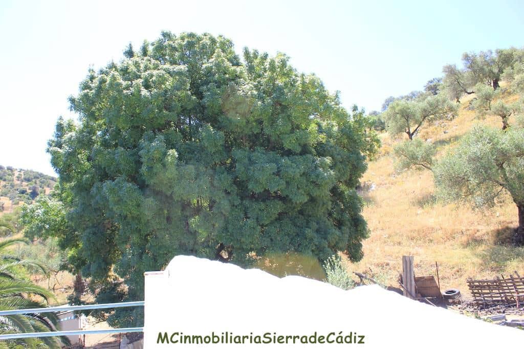 4 bedroom Finca/Country House for sale in El Gastor with garage - € 229,000 (Ref: 8387101)