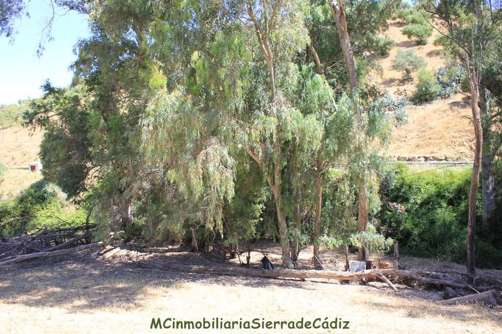 4 bedroom Finca/Country House for sale in El Gastor with garage - € 229,000 (Ref: 8387101)