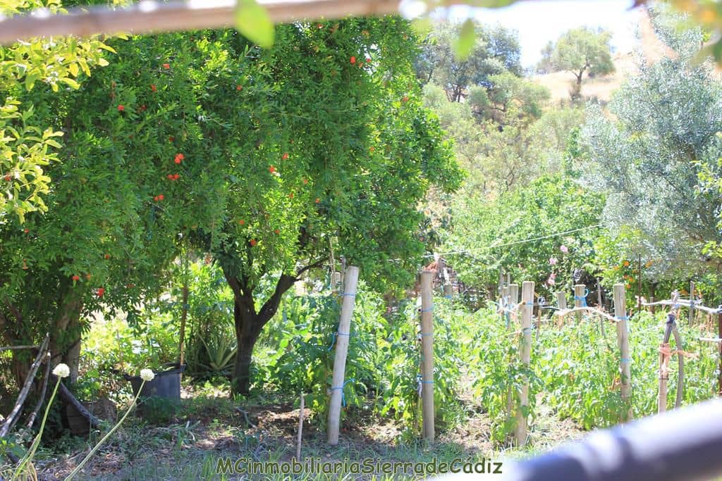 4 bedroom Finca/Country House for sale in El Gastor with garage - € 229,000 (Ref: 8387101)