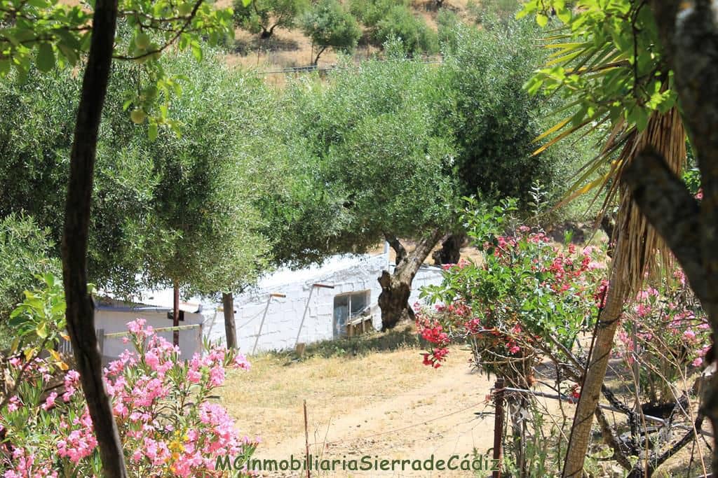 4 bedroom Finca/Country House for sale in El Gastor with garage - € 229,000 (Ref: 8387101)
