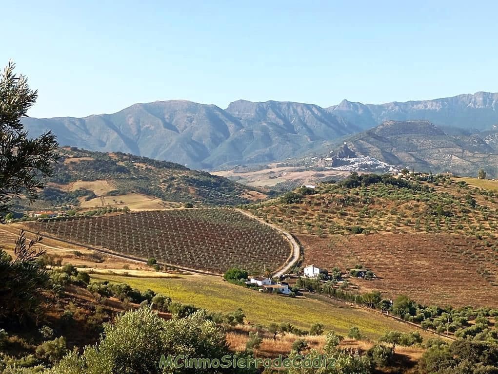 Finca/Landehus til salg i Algodonales - € 79.000 (Ref: 8398406)