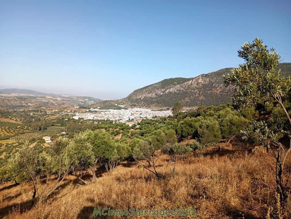 Finca/Landehus til salg i Algodonales - € 79.000 (Ref: 8398406)