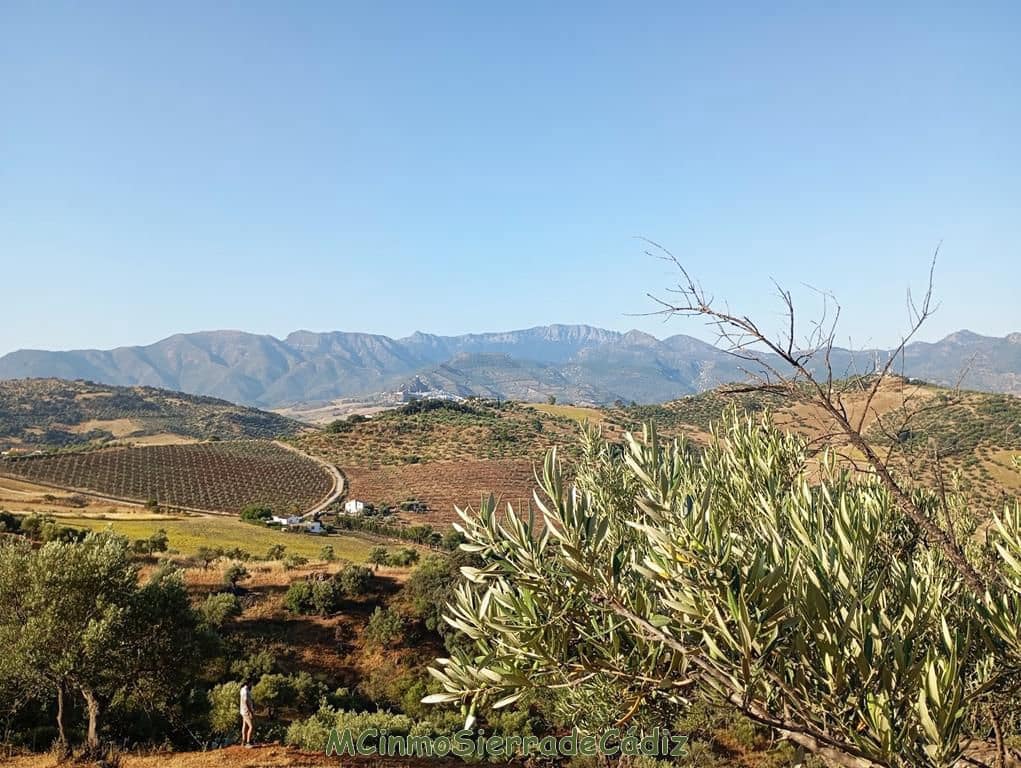 Finca/Landehus til salg i Algodonales - € 79.000 (Ref: 8398406)