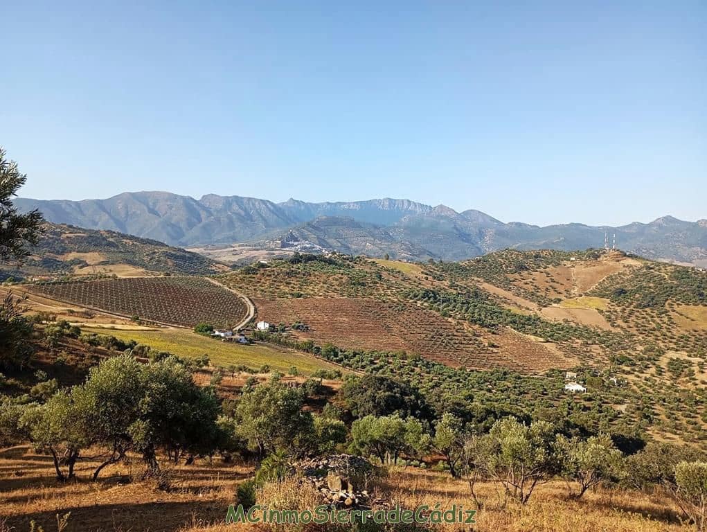 Finca/Landehus til salg i Algodonales - € 79.000 (Ref: 8398406)