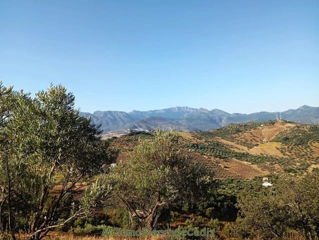 Finca/Landehus til salg i Algodonales - € 79.000 (Ref: 8398406)