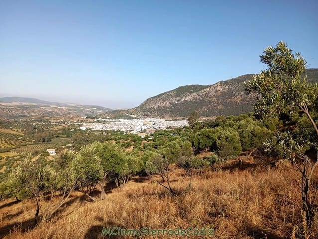 Finca/Landehus til salg i Algodonales - € 79.000 (Ref: 8398406)