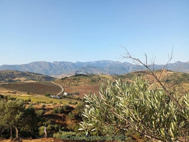 Finca/Landehus til salg i Algodonales - € 79.000 (Ref: 8398406)