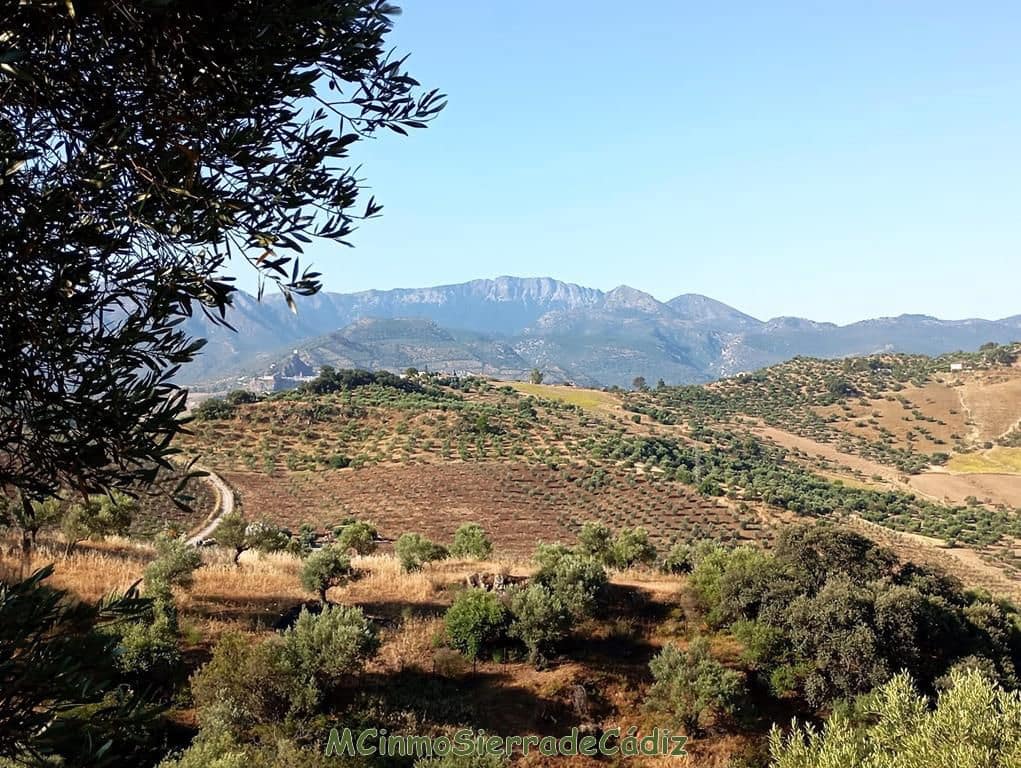 Finca/Landehus til salg i Algodonales - € 79.000 (Ref: 8398406)