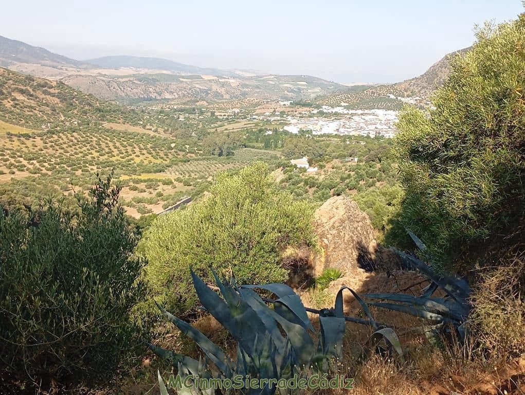 Finca/Landehus til salg i Algodonales - € 79.000 (Ref: 8398406)