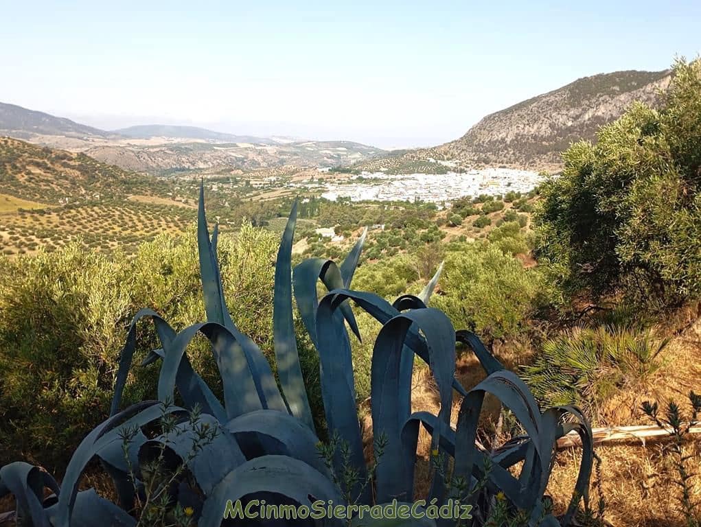 Finca/Landehus til salg i Algodonales - € 79.000 (Ref: 8398406)