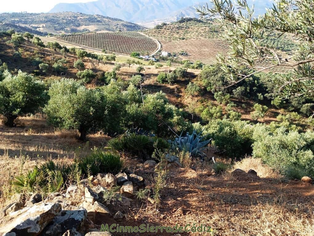 Finca/Landehus til salg i Algodonales - € 79.000 (Ref: 8398406)