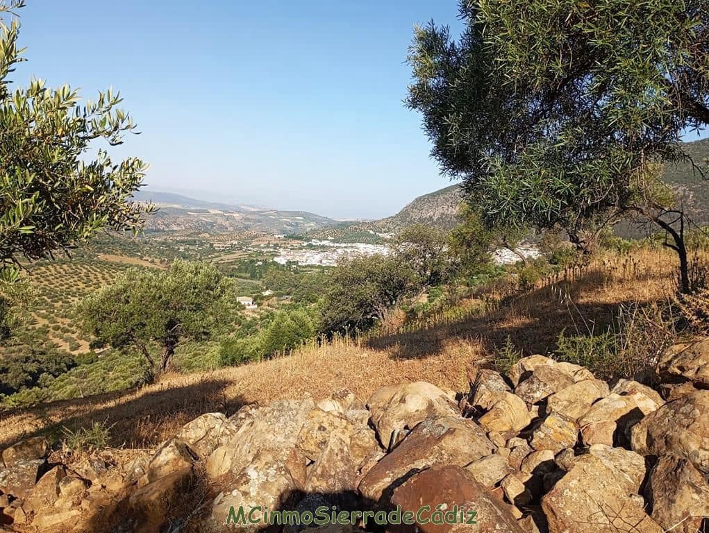 Finca/Landehus til salg i Algodonales - € 79.000 (Ref: 8398406)