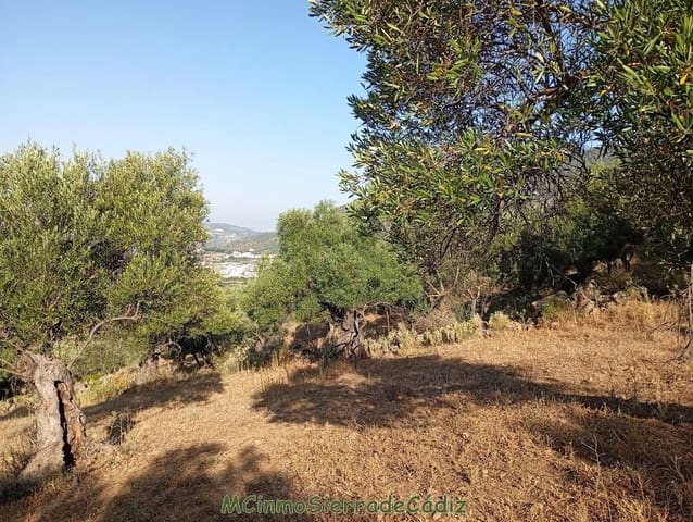 Finca/Landehus til salg i Algodonales - € 79.000 (Ref: 8398406)