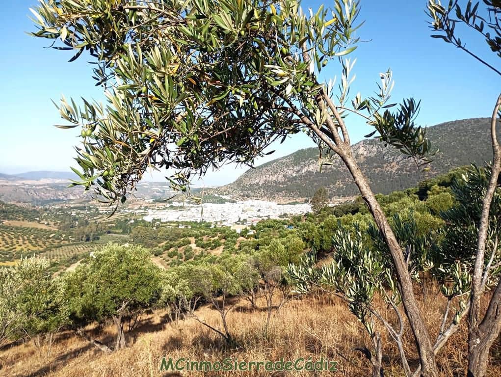 Finca/Landehus til salg i Algodonales - € 79.000 (Ref: 8398406)