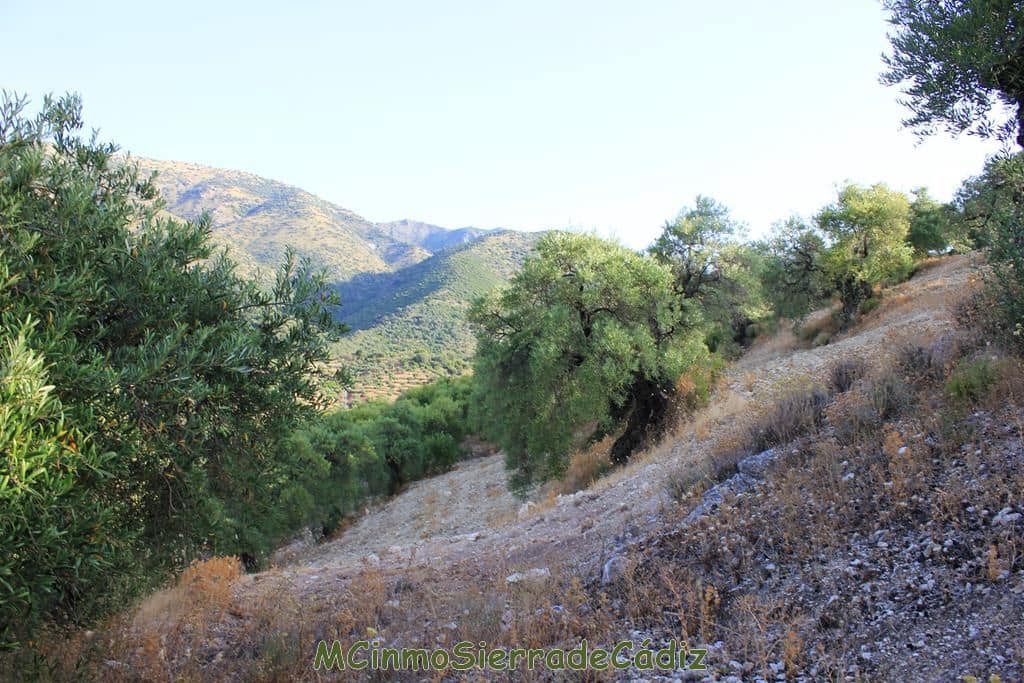 4 quarto Quinta/Casa Rural para venda em Zahara de la Sierra com garagem - 420 000 € (Ref: 8438426)