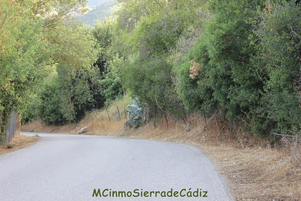 4 quarto Quinta/Casa Rural para venda em Zahara de la Sierra com garagem - 420 000 € (Ref: 8438426)