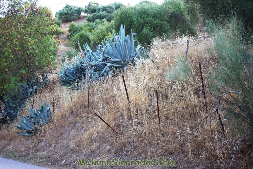 4 quarto Quinta/Casa Rural para venda em Zahara de la Sierra com garagem - 420 000 € (Ref: 8438426)