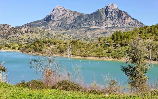 4 slaapkamer Finca/Landhuis te koop in Zahara de la Sierra met garage - € 420.000 (Ref: 8438426)