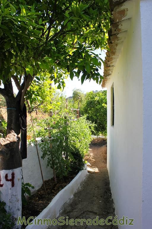 3 soveværelse Byhus til salg i Algodonales med garage - € 110.000 (Ref: 8438427)