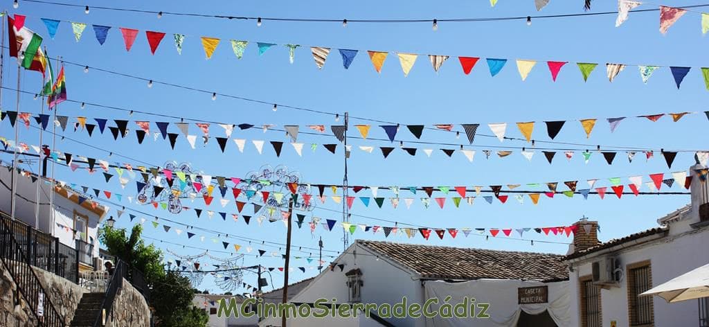 3 soveværelse Byhus til salg i Algodonales med garage - € 110.000 (Ref: 8438427)