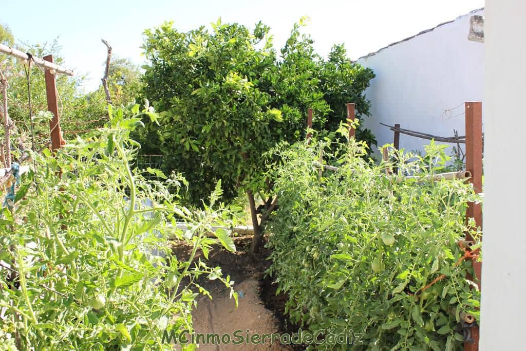 3 soveværelse Byhus til salg i Algodonales med garage - € 110.000 (Ref: 8438427)