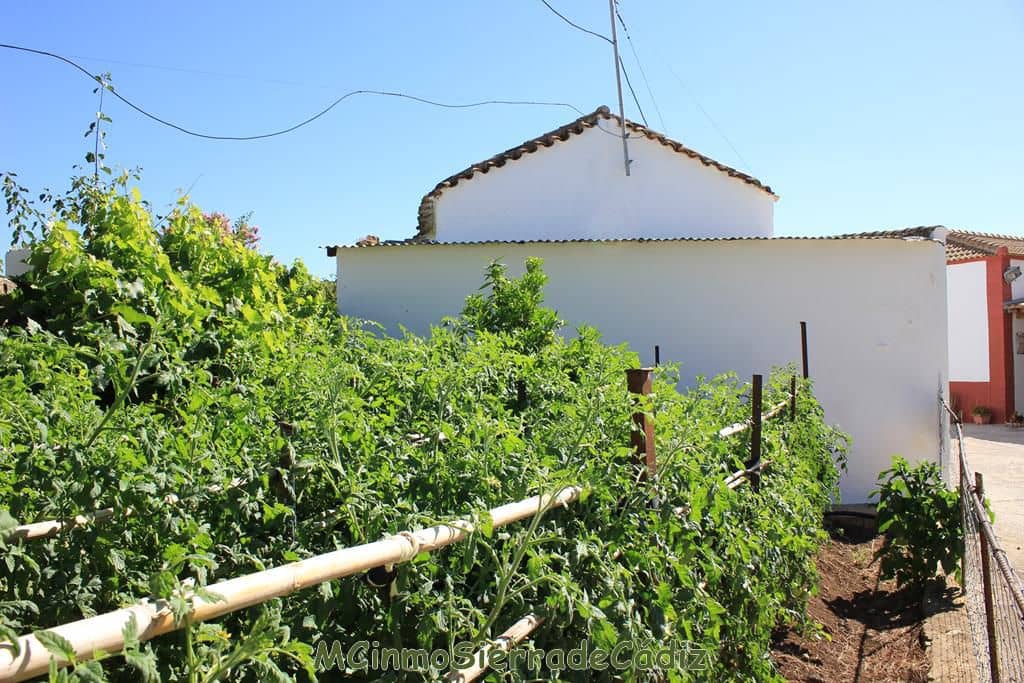 3 soveværelse Byhus til salg i Algodonales med garage - € 110.000 (Ref: 8438427)