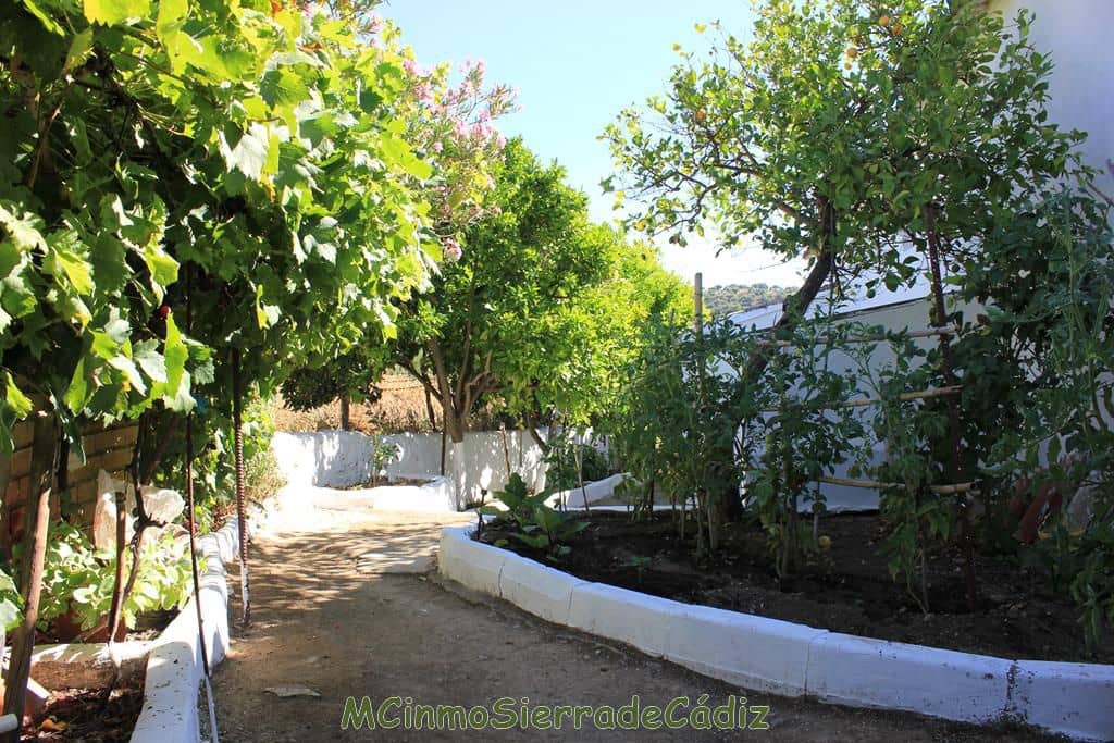 3 soveværelse Byhus til salg i Algodonales med garage - € 110.000 (Ref: 8438427)