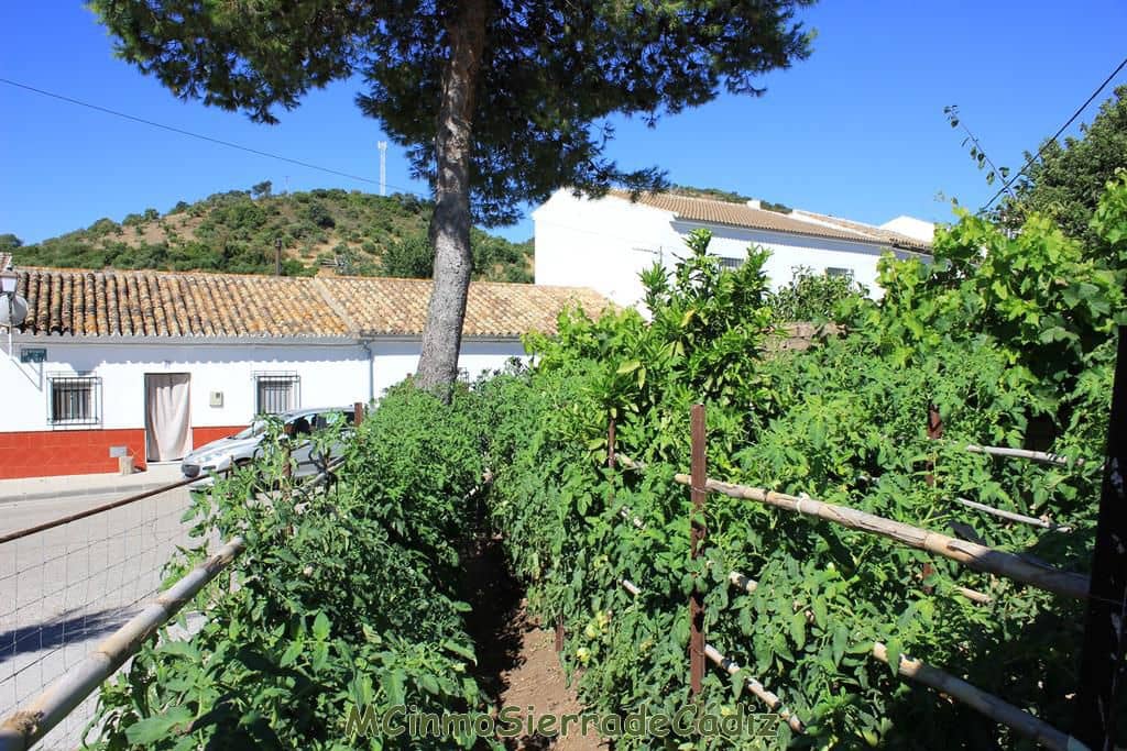 3 soveværelse Byhus til salg i Algodonales med garage - € 110.000 (Ref: 8438427)