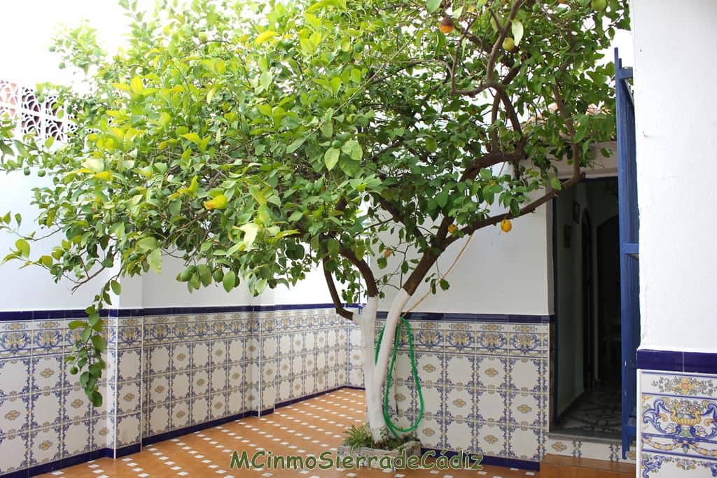 5 soveværelse Byhus til salg i Algodonales med garage - € 210.000 (Ref: 8475832)