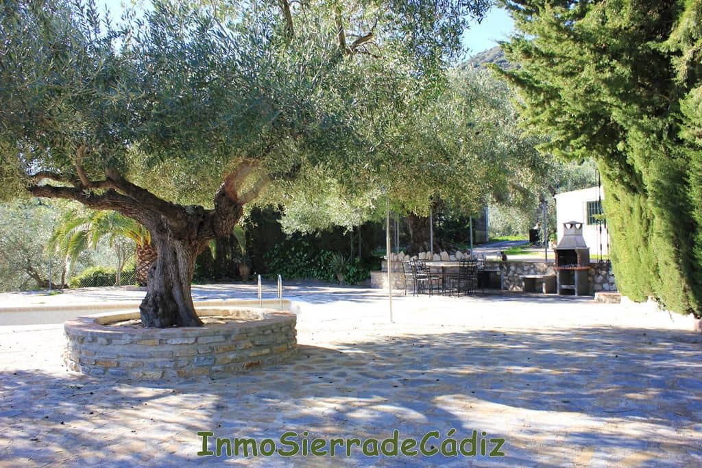 4 Zimmer Finca/Landgut zu verkaufen in Zahara de la Sierra mit Garage - 580.000 € (Ref: 8709821)
