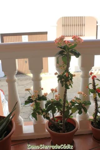 3 soveværelse Byhus til salg i Algodonales med garage - € 179.000 (Ref: 8927230)