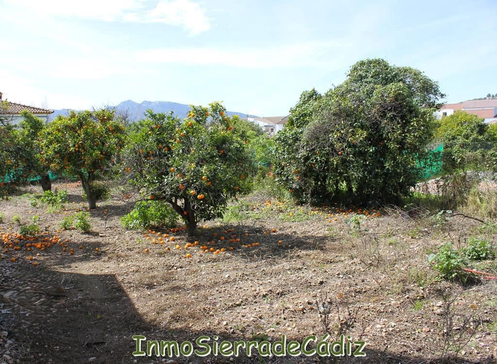 Teren niezagospodarowany na sprzedaż w Algodonales - 175 000 € (Ref: 8927233)