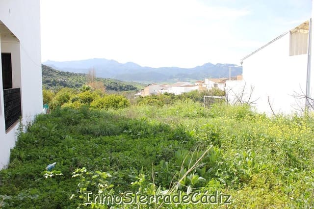 Grond te koop in Algodonales - € 175.000 (Ref: 8927233)