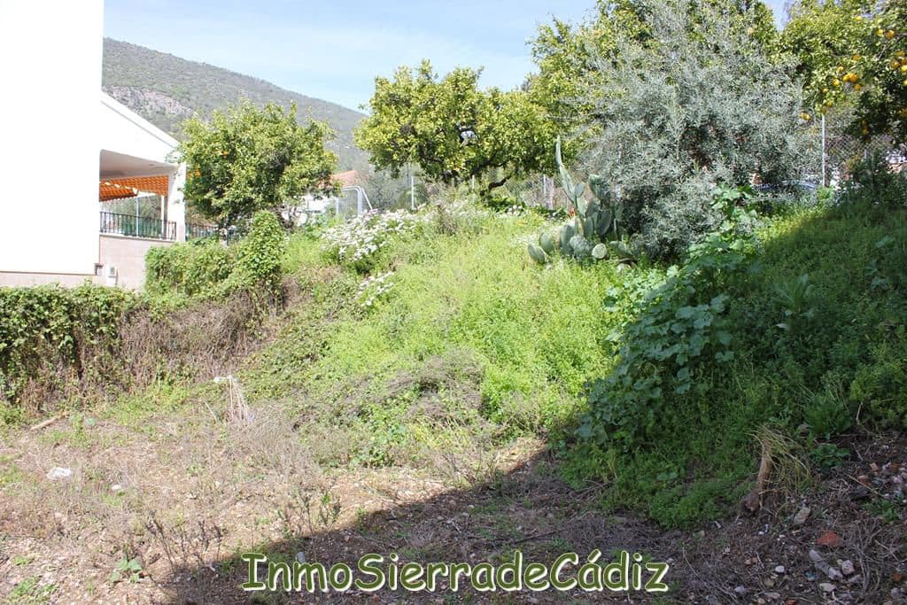 Teren niezagospodarowany na sprzedaż w Algodonales - 175 000 € (Ref: 8927233)