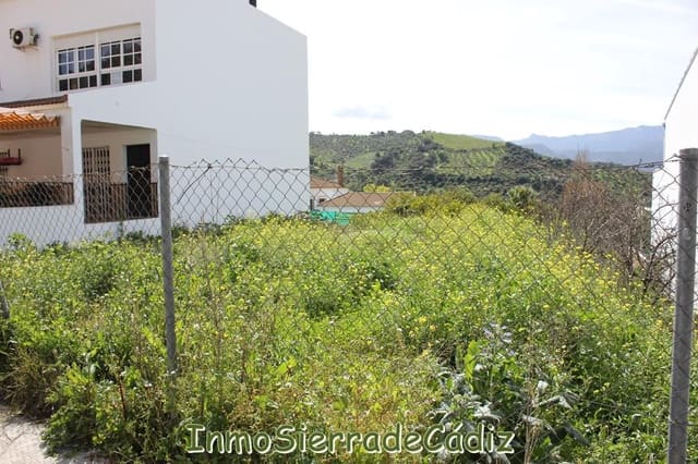 Grond te koop in Algodonales - € 175.000 (Ref: 8927233)
