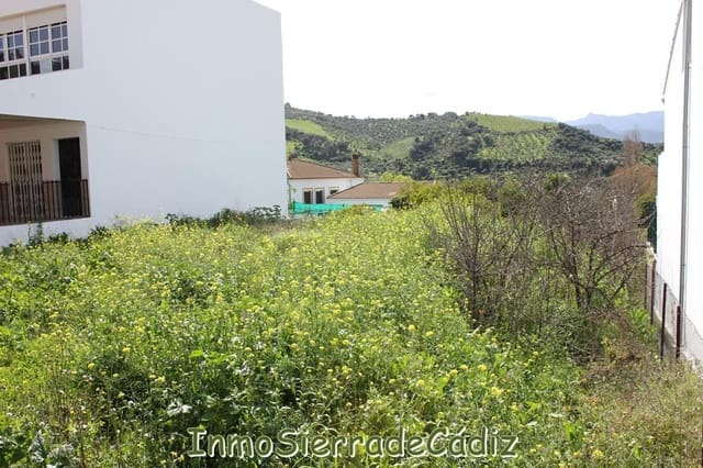 Grond te koop in Algodonales - € 175.000 (Ref: 8927233)