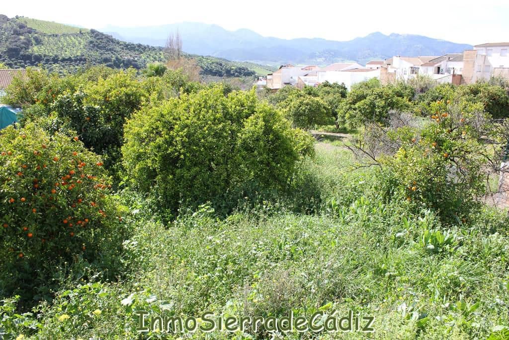 Teren niezagospodarowany na sprzedaż w Algodonales - 175 000 € (Ref: 8927233)